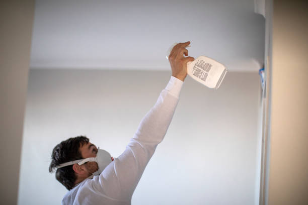 Attic Mold Removal in Silver Firs, WA