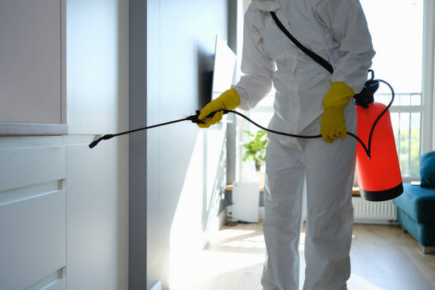 Best Local Mold Removal Service  in Silver Firs, WA