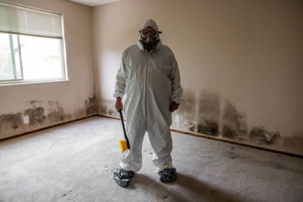 Best Crawl Space Mold Removal  in Silver Firs, WA
